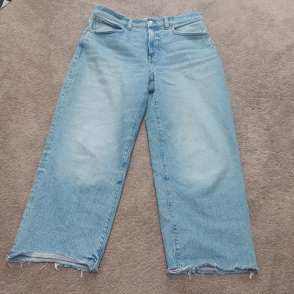 Madewell Light Wash Perfect Vintage Wide Leg Crop Size 28